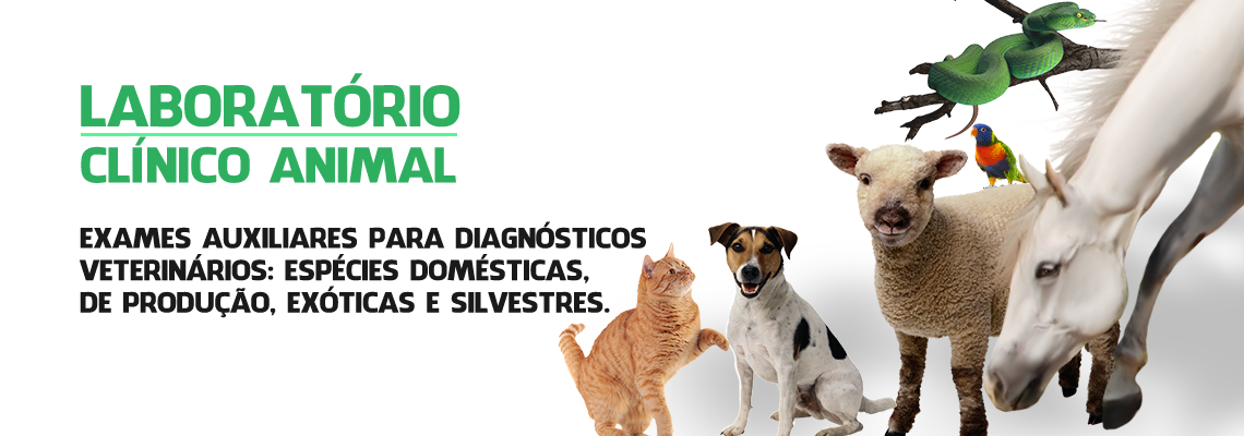 Laboratório Clínico Animal